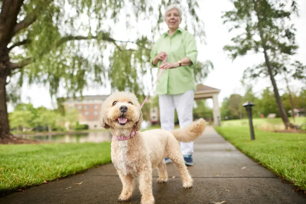senior woman with her dog outside at Sedgebrook in Lincolnshire, IL.