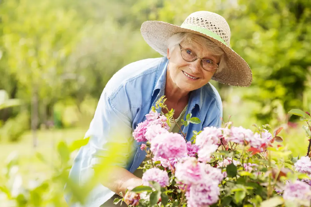 a senior woman gardening on a summer day