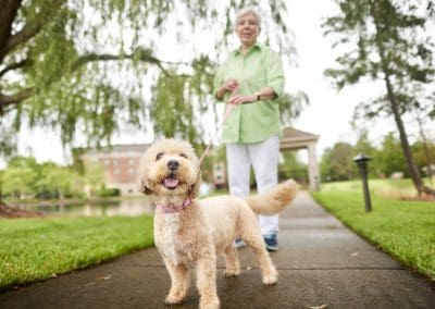 How to Prepare Your Pets for Moving into Senior Living